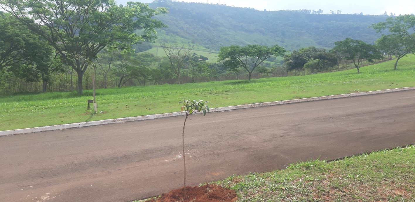 Terreno à venda, 1000 - Foto 11