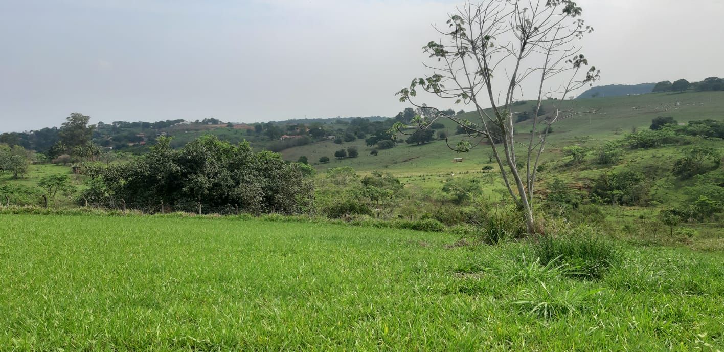 Terreno à venda, 1000 - Foto 16