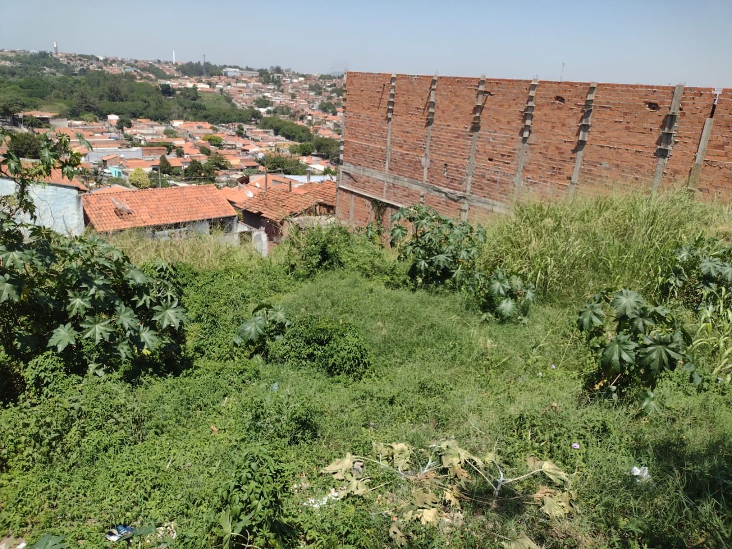 Terreno à venda, 300 - Foto 5