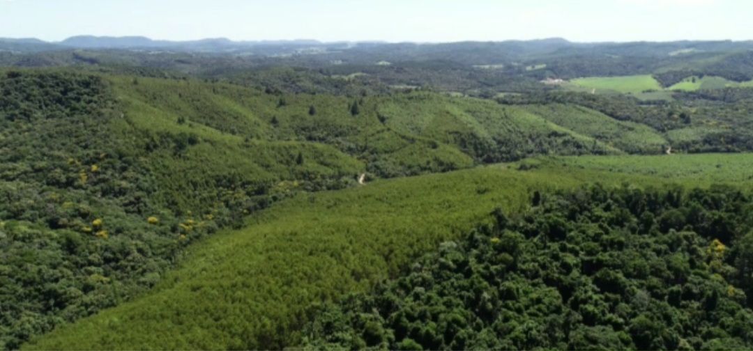 Fazenda à venda com 5 quartos, 4300m² - Foto 3