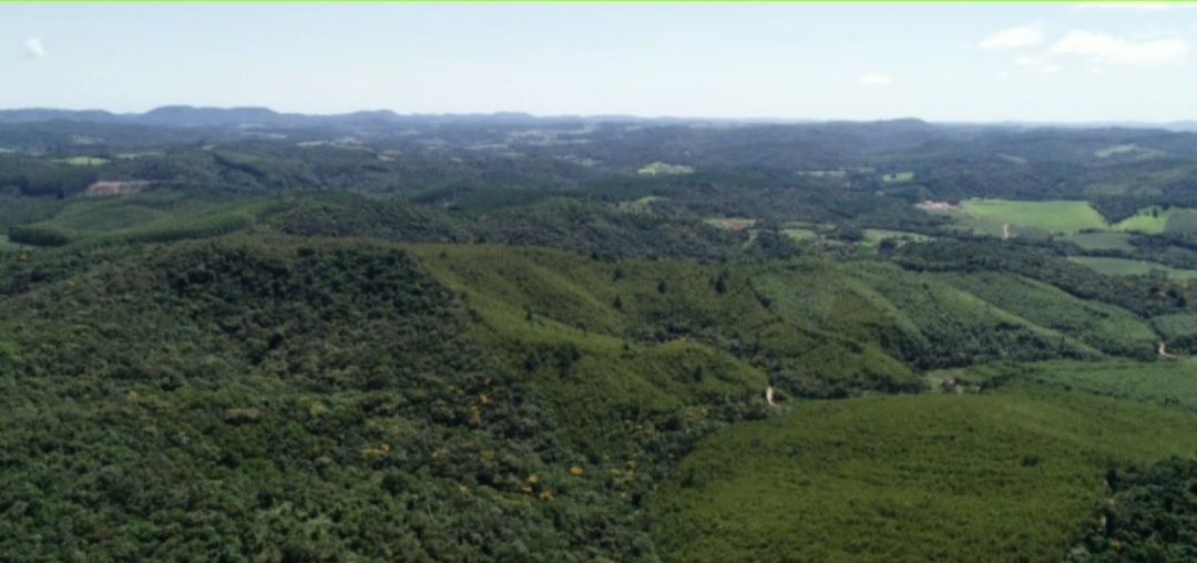 Fazenda à venda com 5 quartos, 4300m² - Foto 5