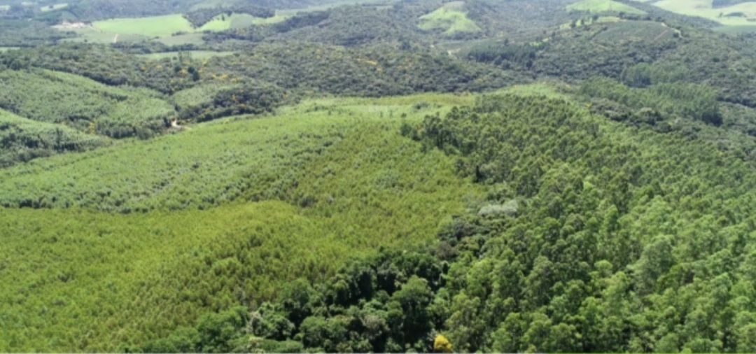 Fazenda à venda com 5 quartos, 4300m² - Foto 6