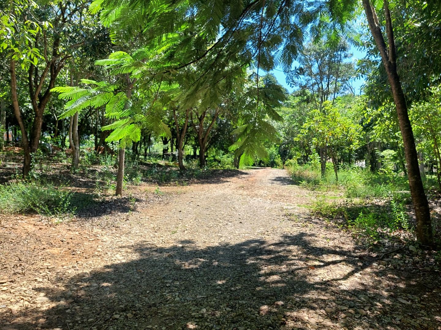 Terreno à venda, 1000 - Foto 11