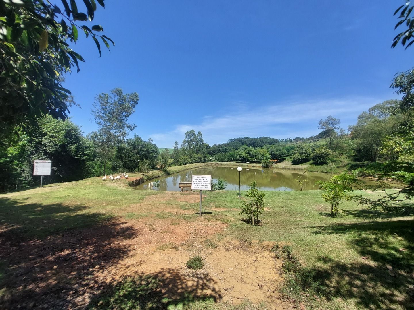 Terreno à venda, 1000 - Foto 5