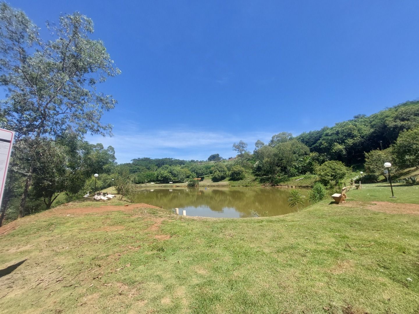 Terreno à venda, 1000 - Foto 6