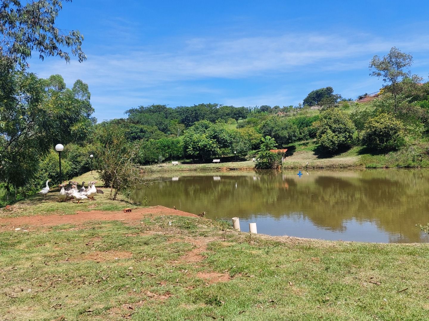 Terreno à venda, 1000 - Foto 8