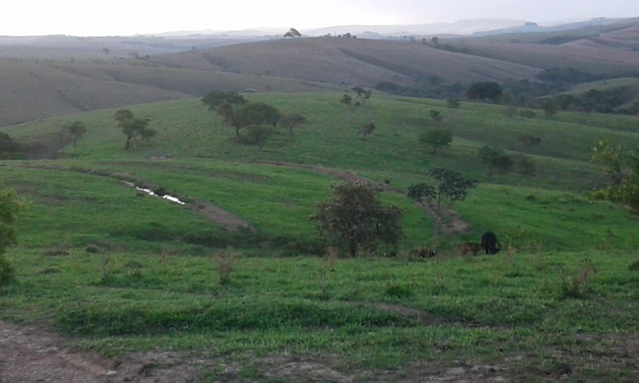 Fazenda à venda com 5 quartos, 500m² - Foto 3