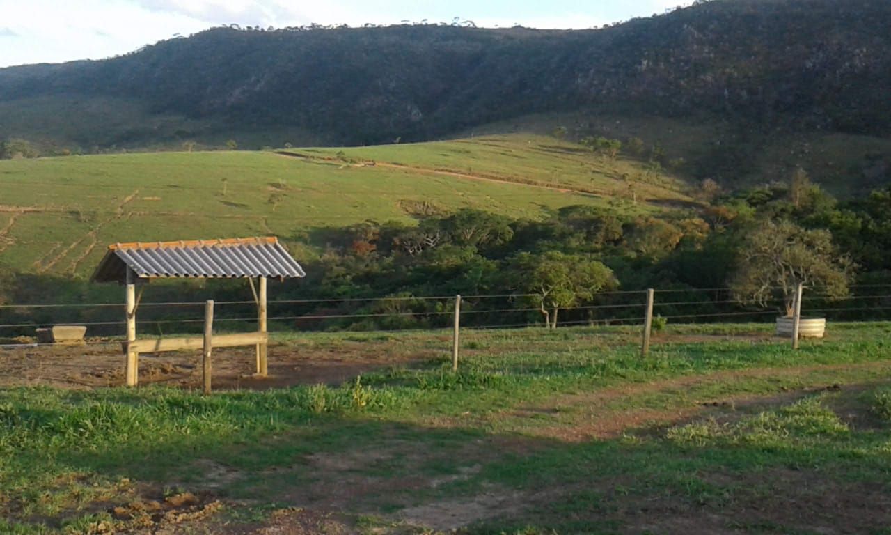 Fazenda à venda com 5 quartos, 500m² - Foto 4