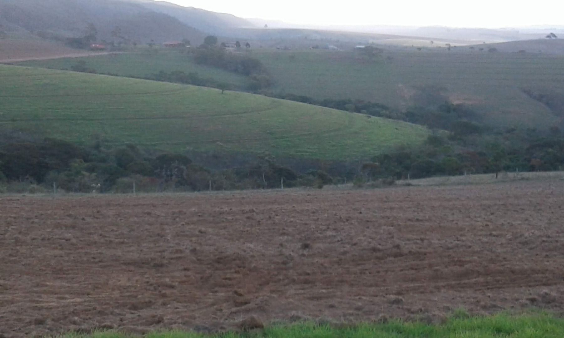 Fazenda à venda com 5 quartos, 500m² - Foto 6