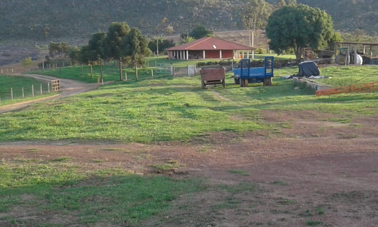 Fazenda à venda com 5 quartos, 500m² - Foto 7