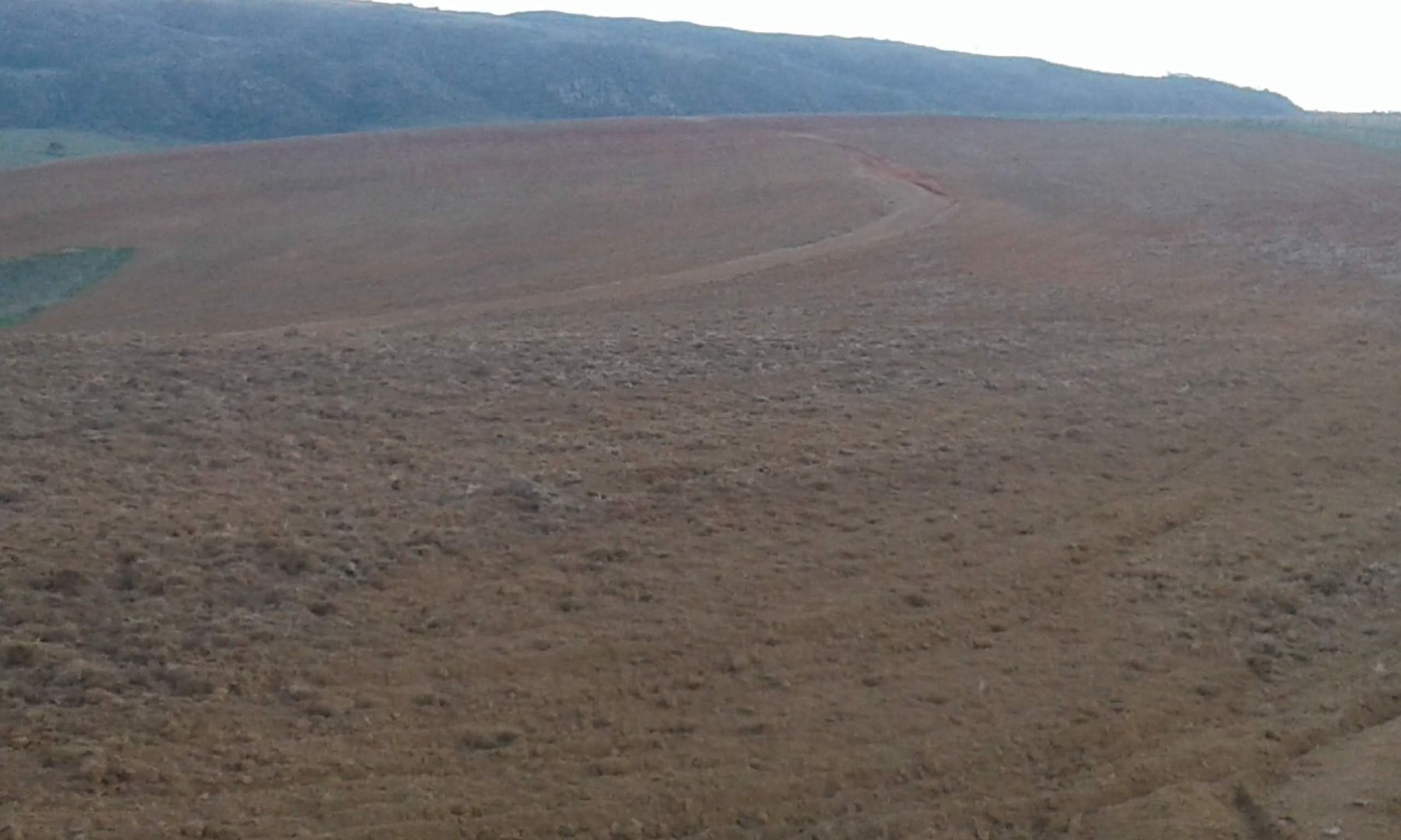 Fazenda à venda com 5 quartos, 500m² - Foto 9