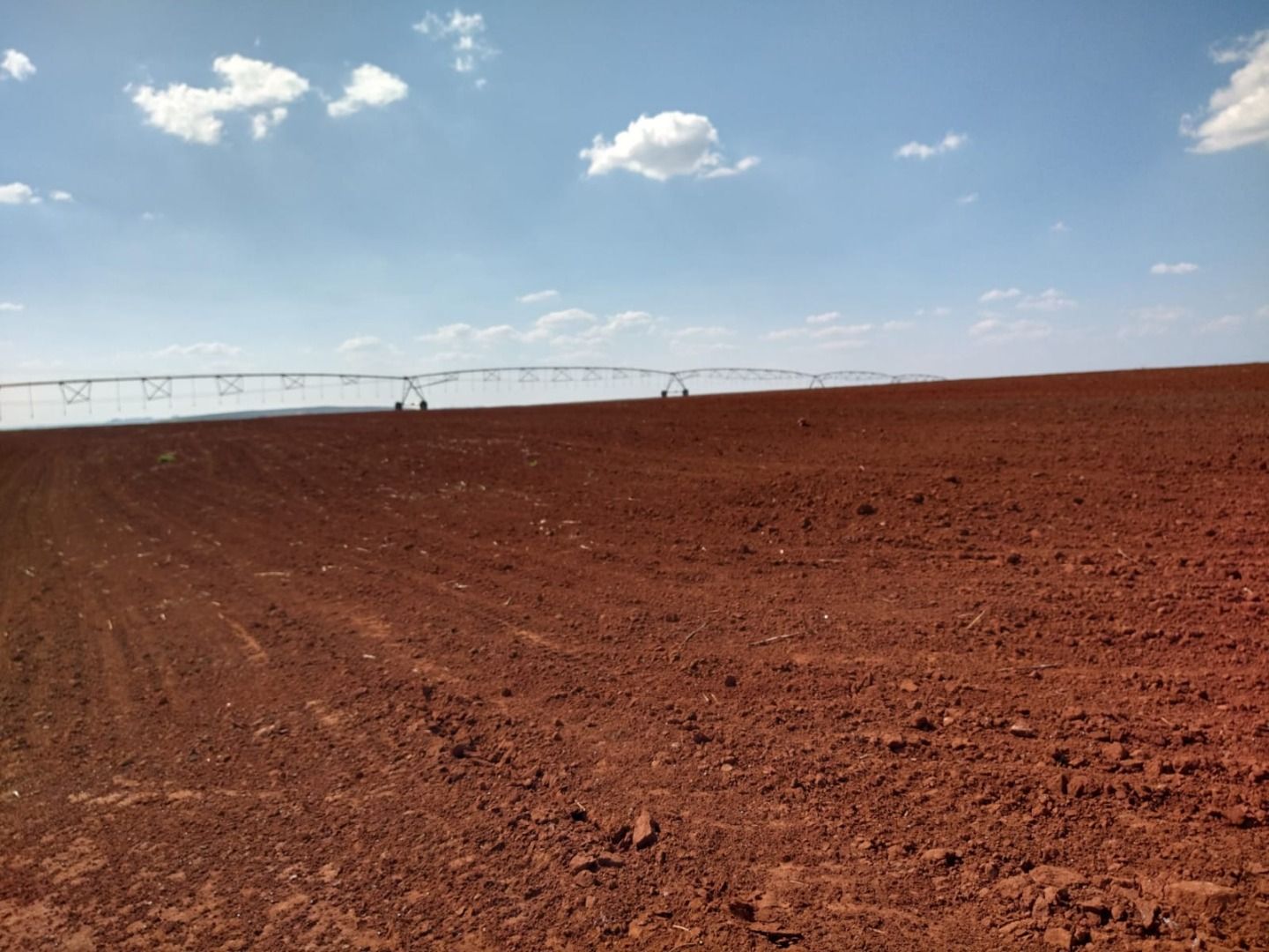 Fazenda à venda com 50 quartos, 8000m² - Foto 1