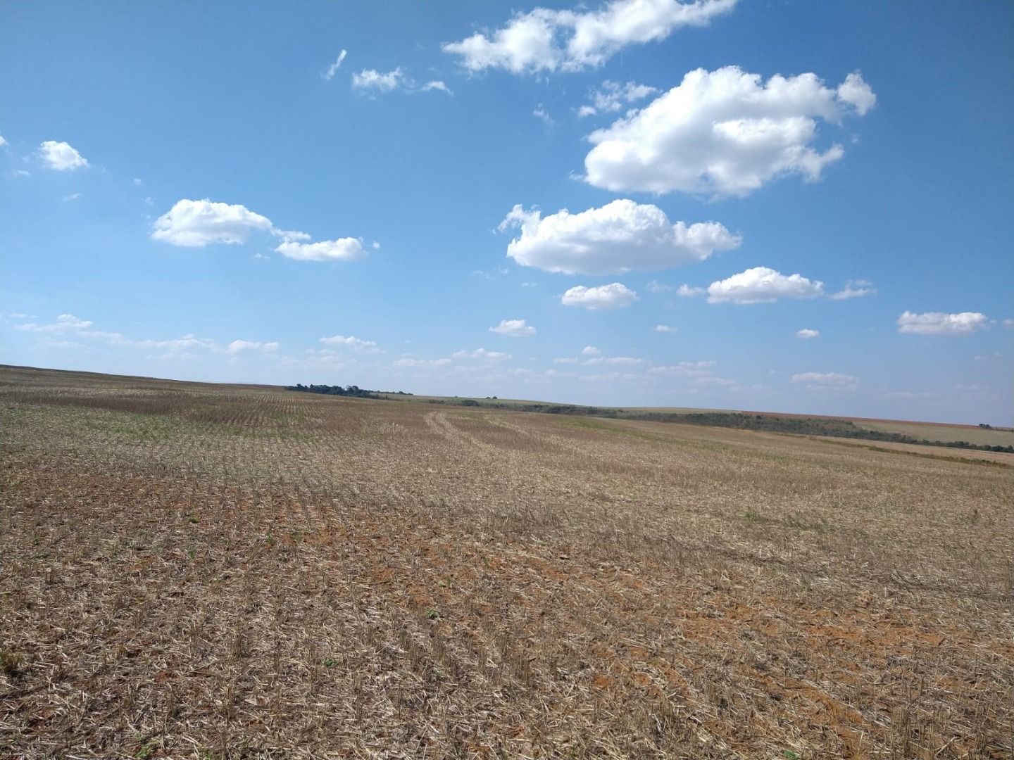 Fazenda à venda com 50 quartos, 8000m² - Foto 10