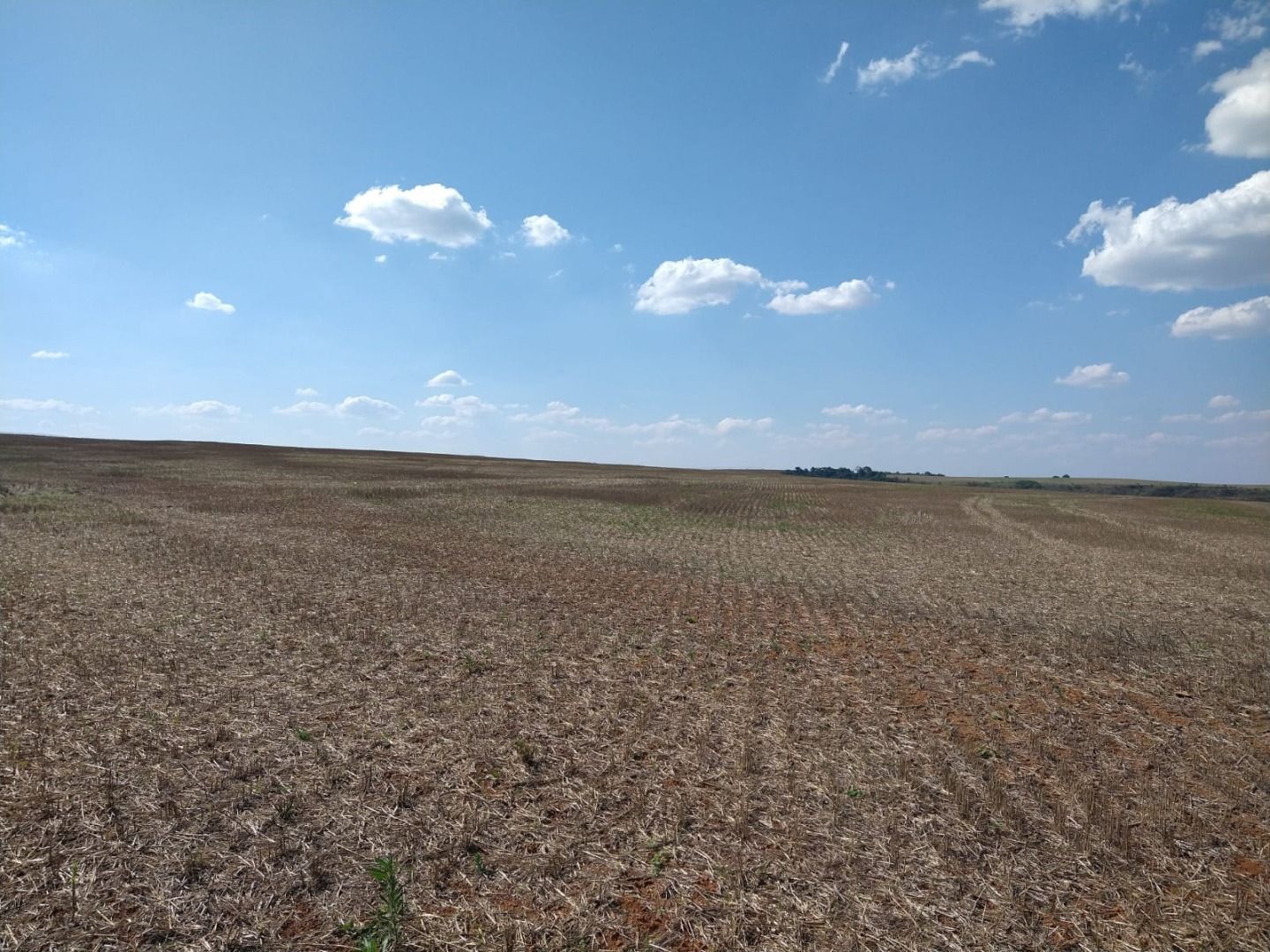 Fazenda à venda com 50 quartos, 8000m² - Foto 12