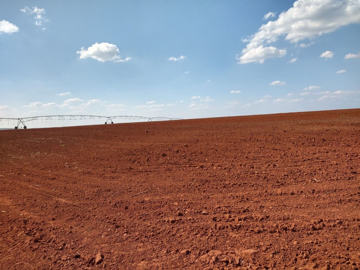 Fazenda à venda com 50 quartos, 8000m² - Foto 3