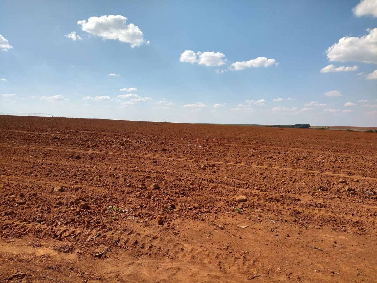 Fazenda à venda com 50 quartos, 8000m² - Foto 4