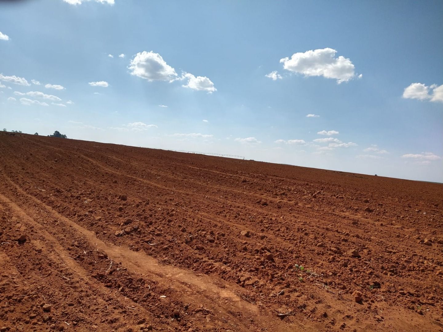 Fazenda à venda com 50 quartos, 8000m² - Foto 5