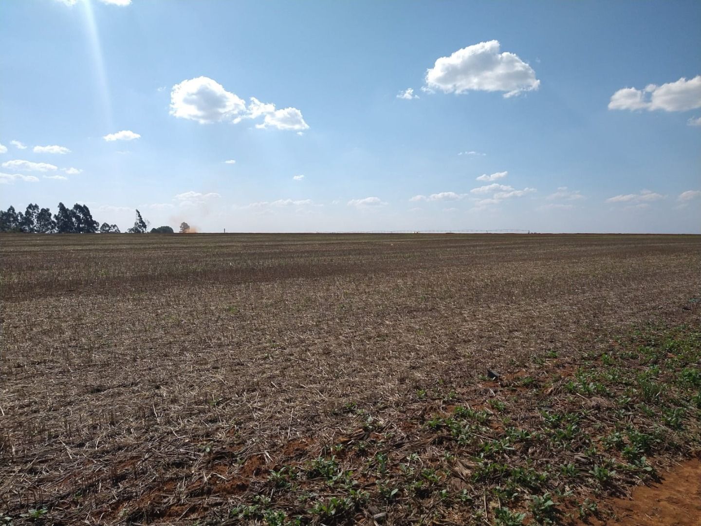 Fazenda à venda com 50 quartos, 8000m² - Foto 6