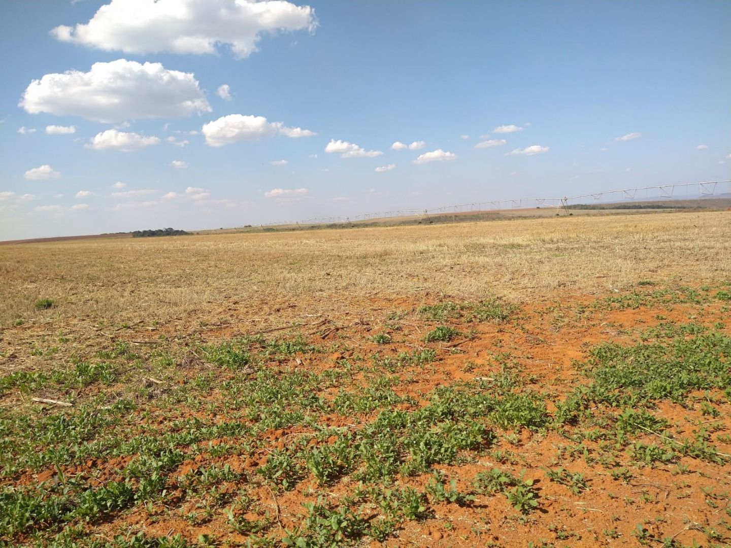 Fazenda à venda com 50 quartos, 8000m² - Foto 7