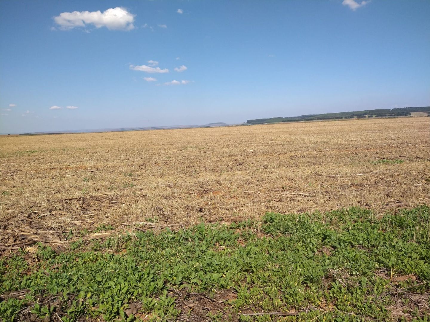 Fazenda à venda com 50 quartos, 8000m² - Foto 8