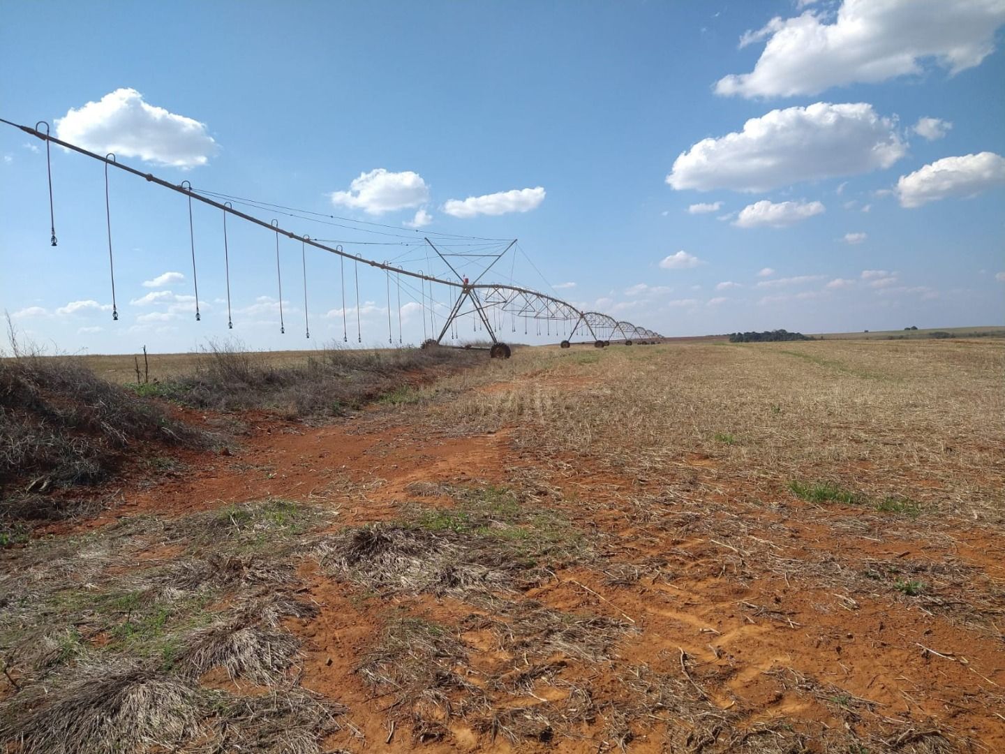 Fazenda à venda com 50 quartos, 8000m² - Foto 9