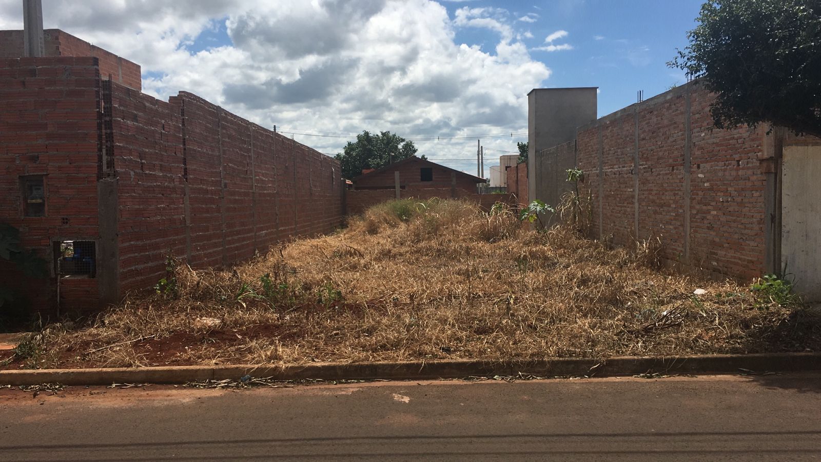 Terreno à venda, 202 - Foto 1