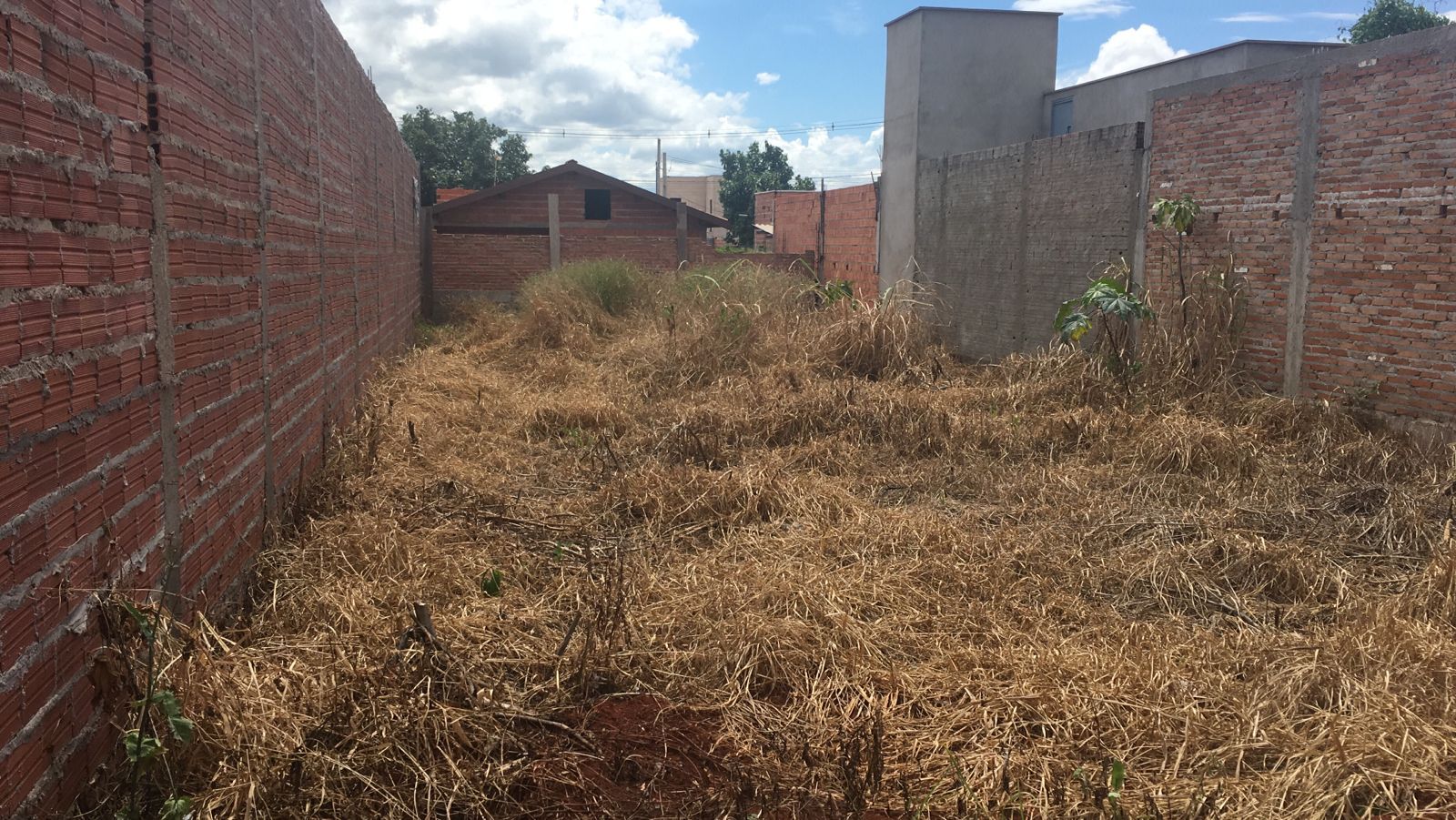 Terreno à venda, 202 - Foto 2