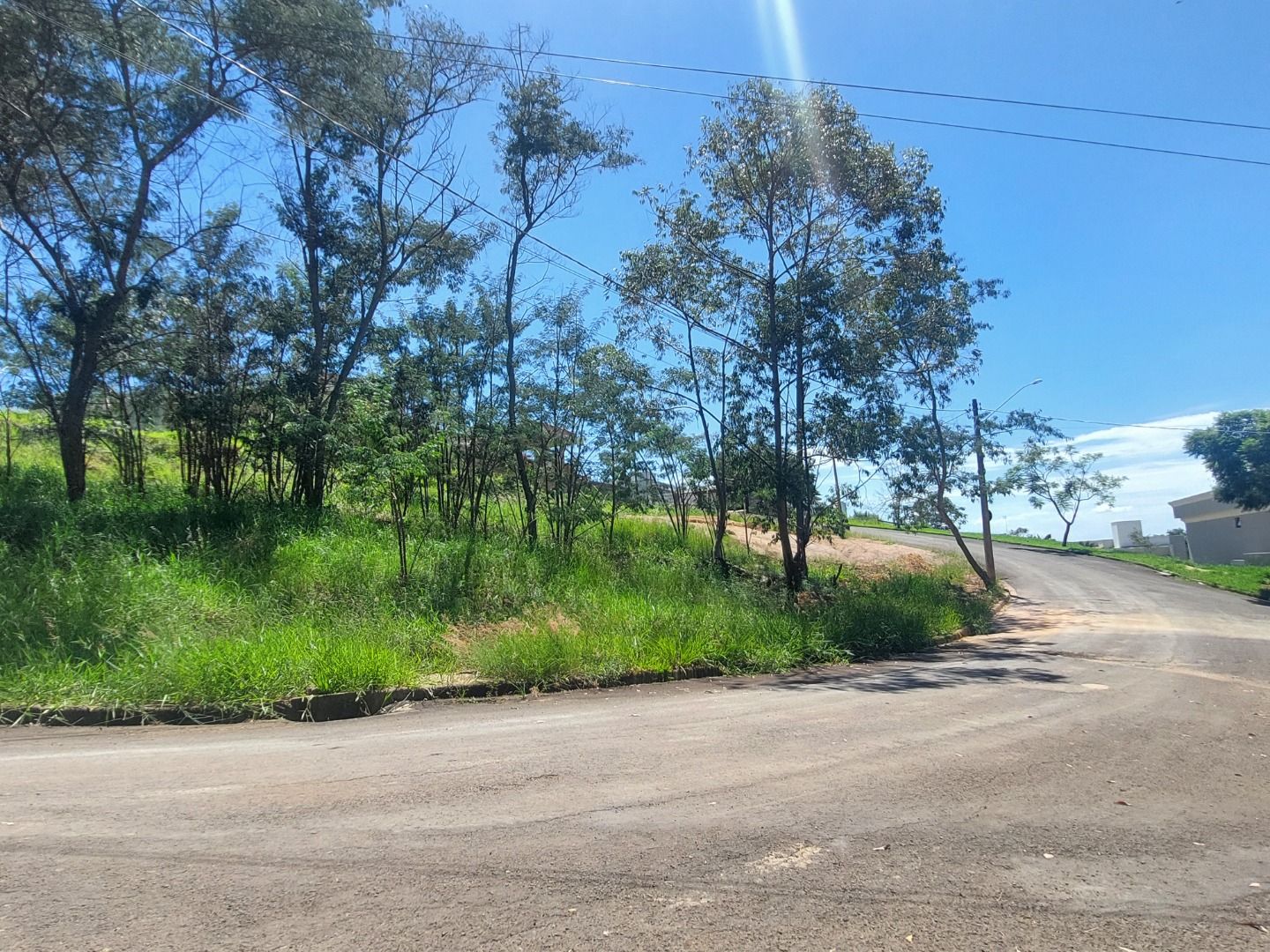 Terreno à venda, 1000 - Foto 5