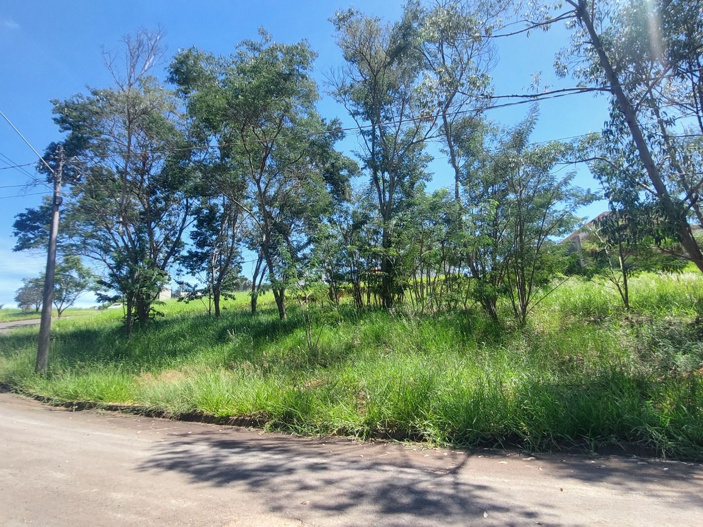 Terreno à venda, 1000 - Foto 6