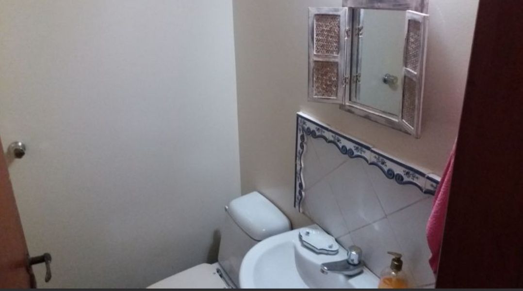 Chácara à venda com 3 quartos, 300m² - Foto 15