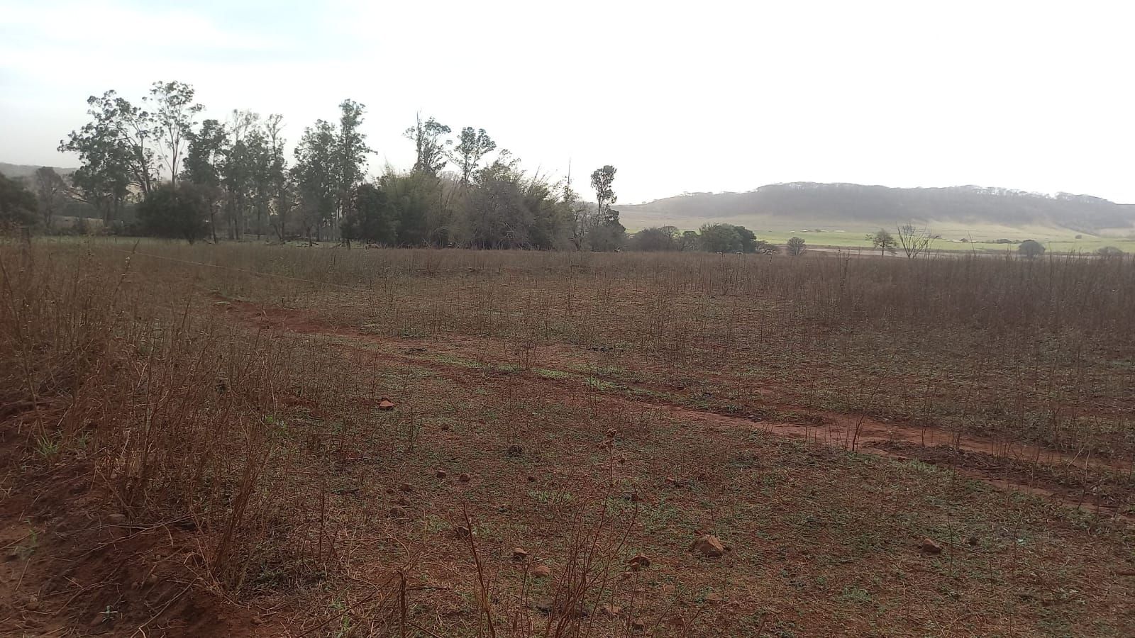 Fazenda à venda com 6 quartos, 1000m² - Foto 3