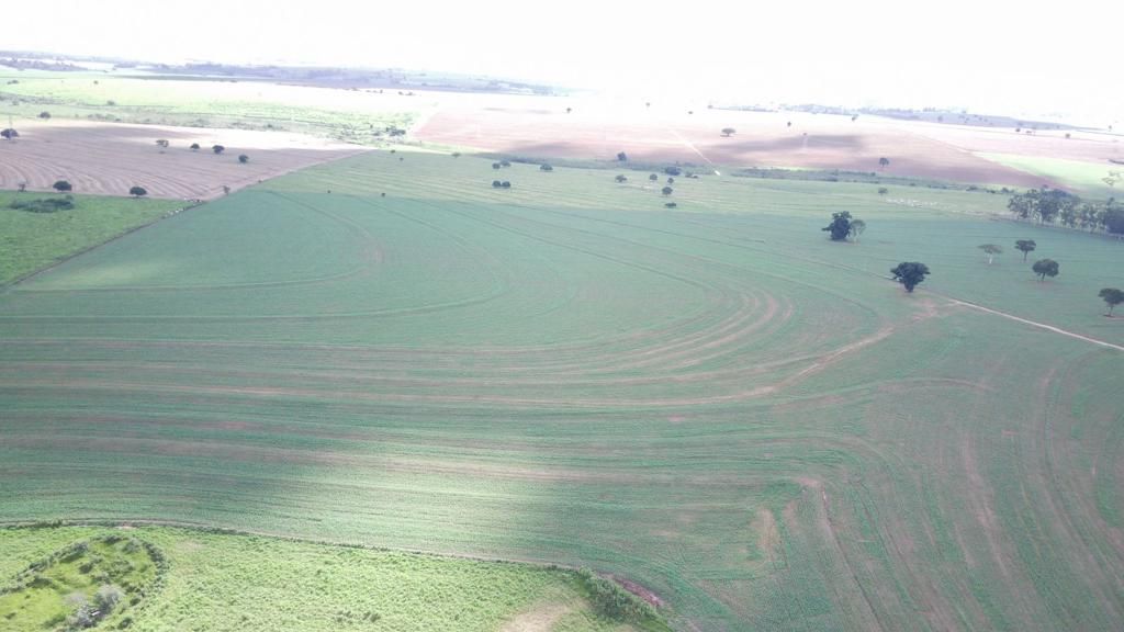 Fazenda à venda com 6 quartos, 1500m² - Foto 15