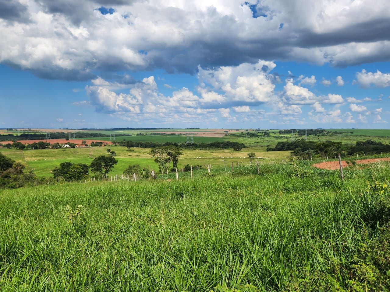 Fazenda à venda com 6 quartos, 1500m² - Foto 19