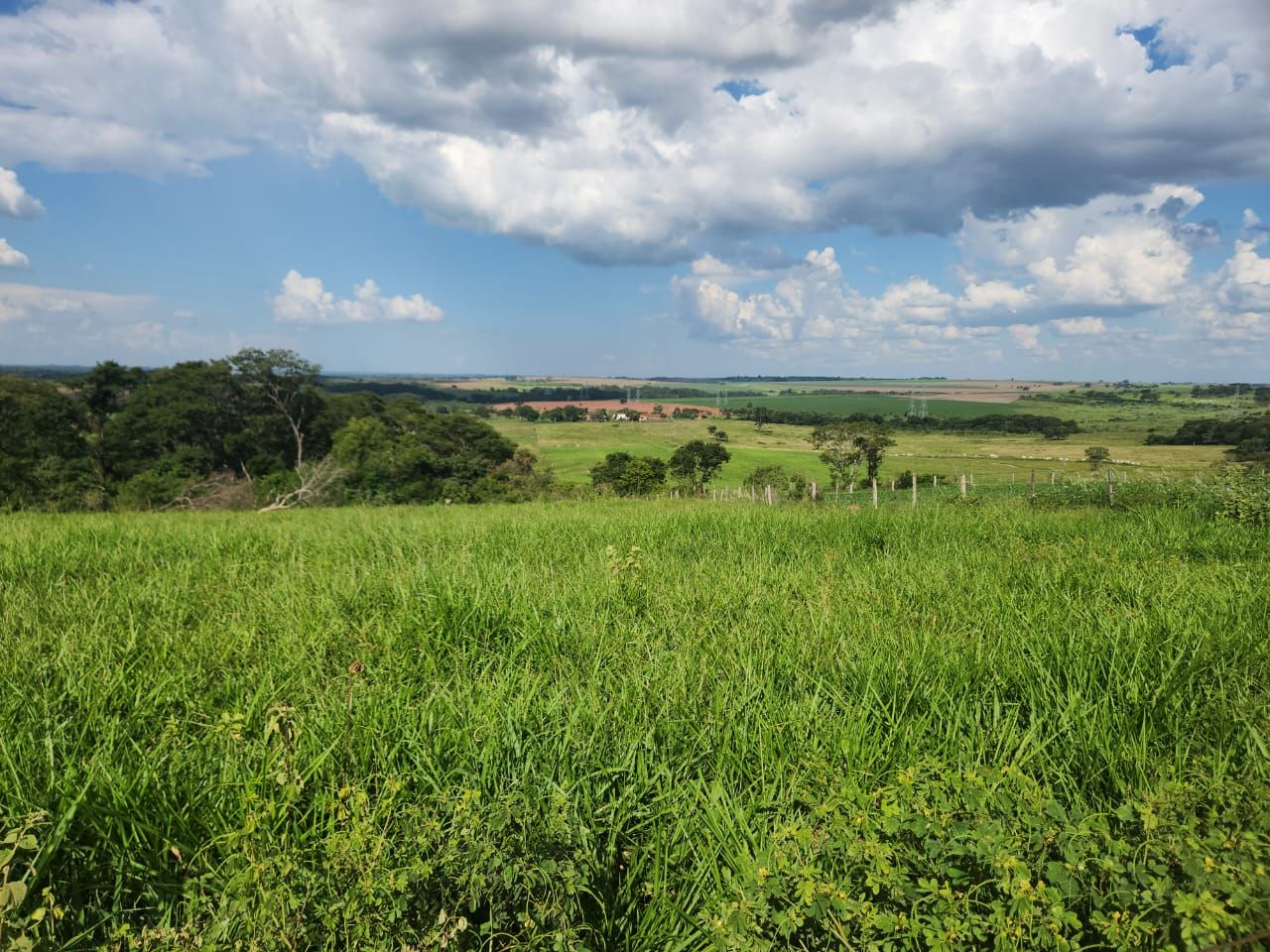 Fazenda à venda com 6 quartos, 1500m² - Foto 24