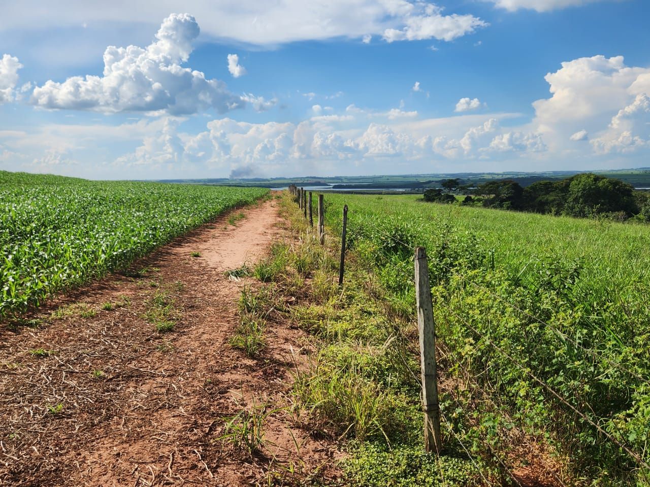 Fazenda à venda com 6 quartos, 1500m² - Foto 26