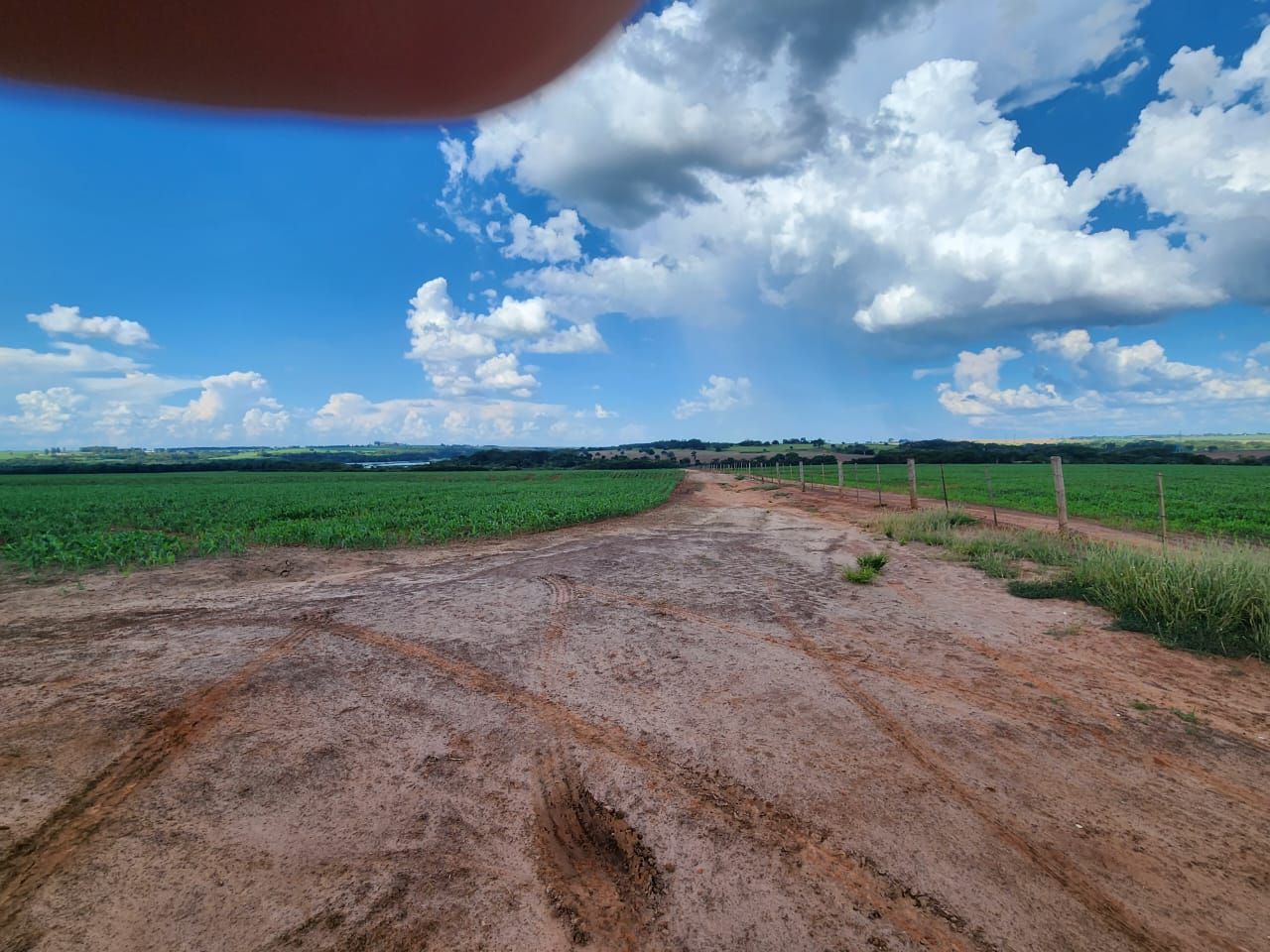 Fazenda à venda com 6 quartos, 1500m² - Foto 27