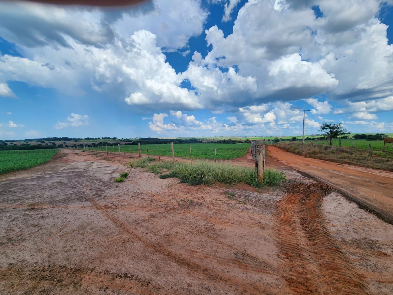 Fazenda à venda com 6 quartos, 1500m² - Foto 29