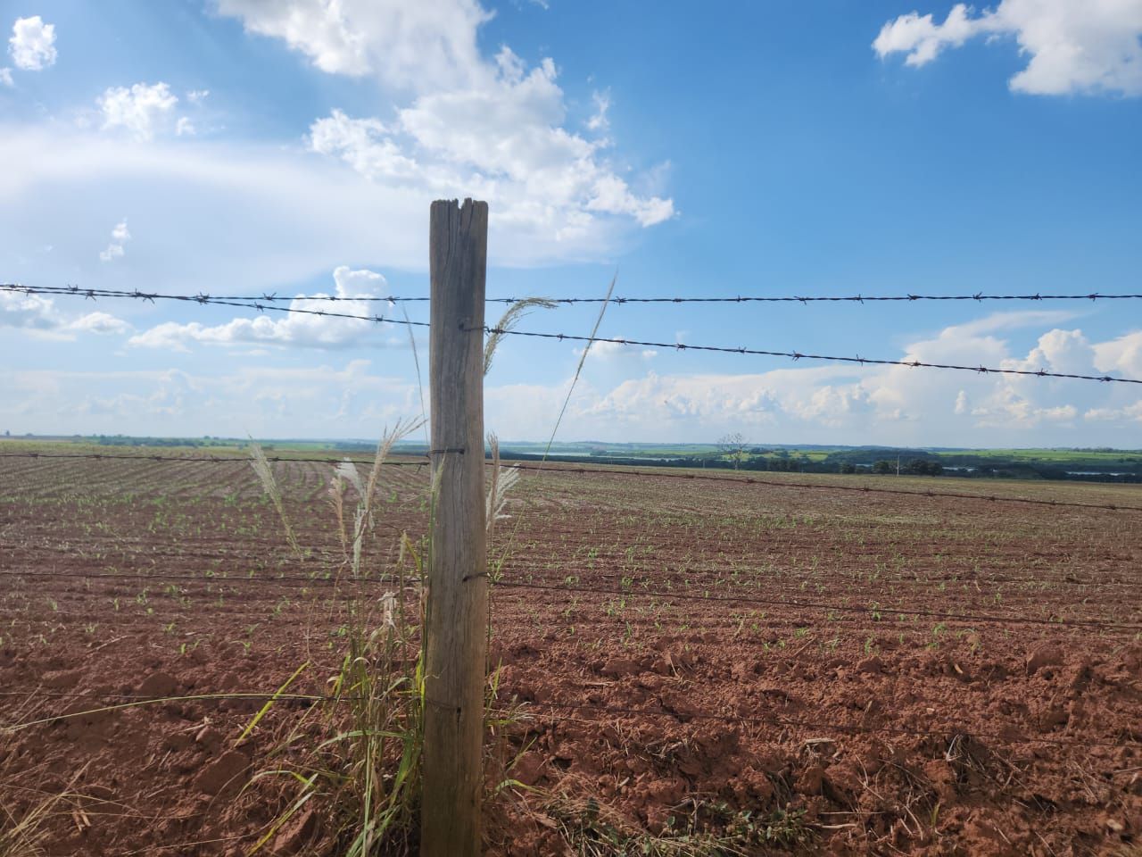 Fazenda à venda com 6 quartos, 1500m² - Foto 30