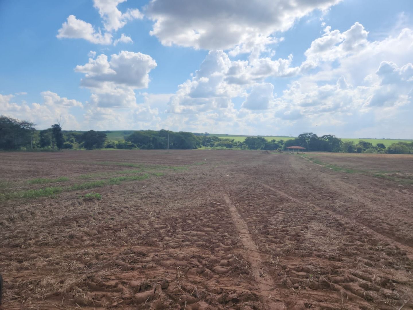 Fazenda à venda com 6 quartos, 1500m² - Foto 6