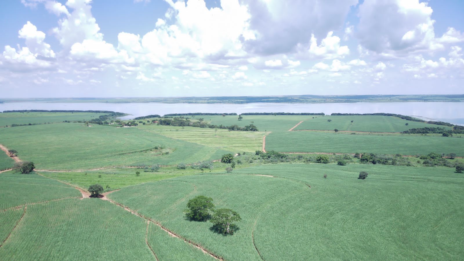 Fazenda à venda com 4 quartos, 800m² - Foto 12