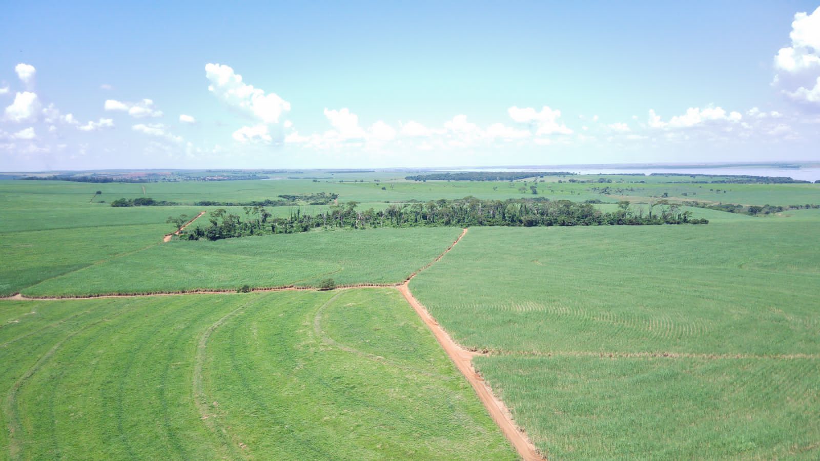 Fazenda à venda com 4 quartos, 800m² - Foto 15