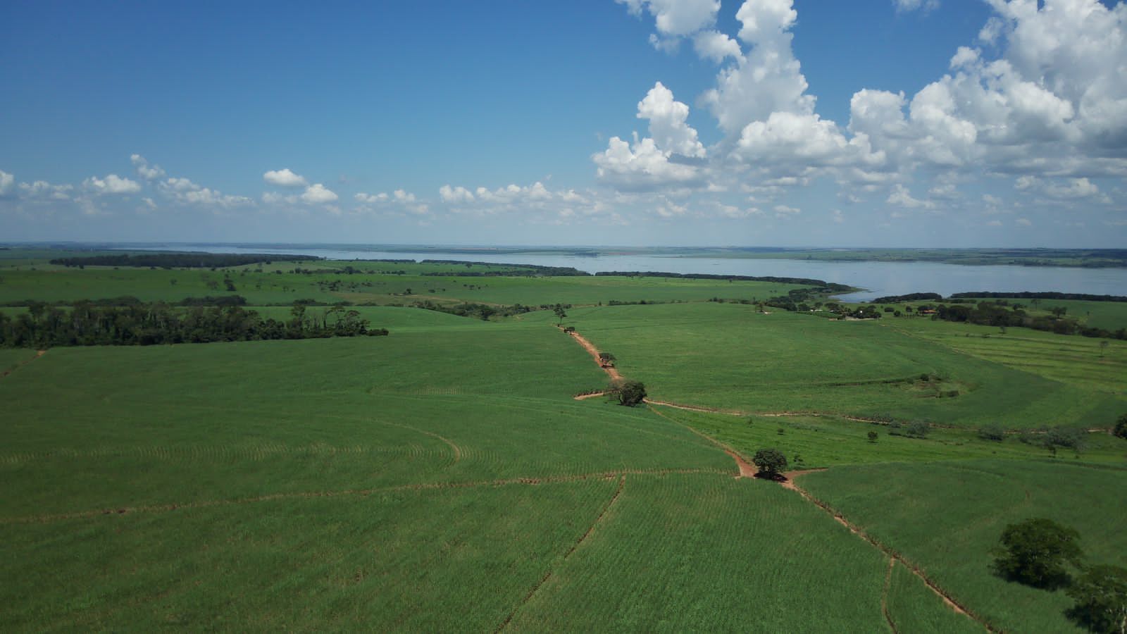 Fazenda à venda com 4 quartos, 800m² - Foto 16