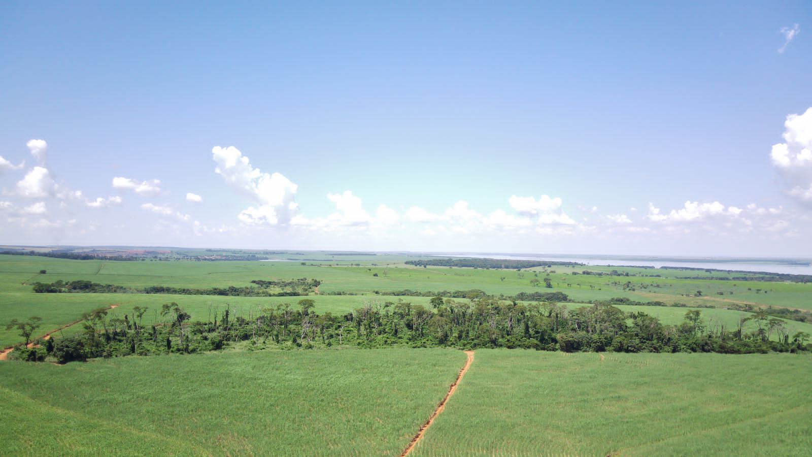 Fazenda à venda com 4 quartos, 800m² - Foto 17