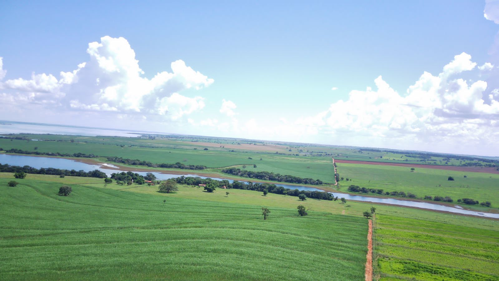 Fazenda à venda com 4 quartos, 800m² - Foto 19