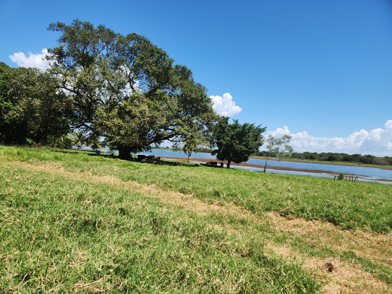 Fazenda à venda com 4 quartos, 800m² - Foto 2