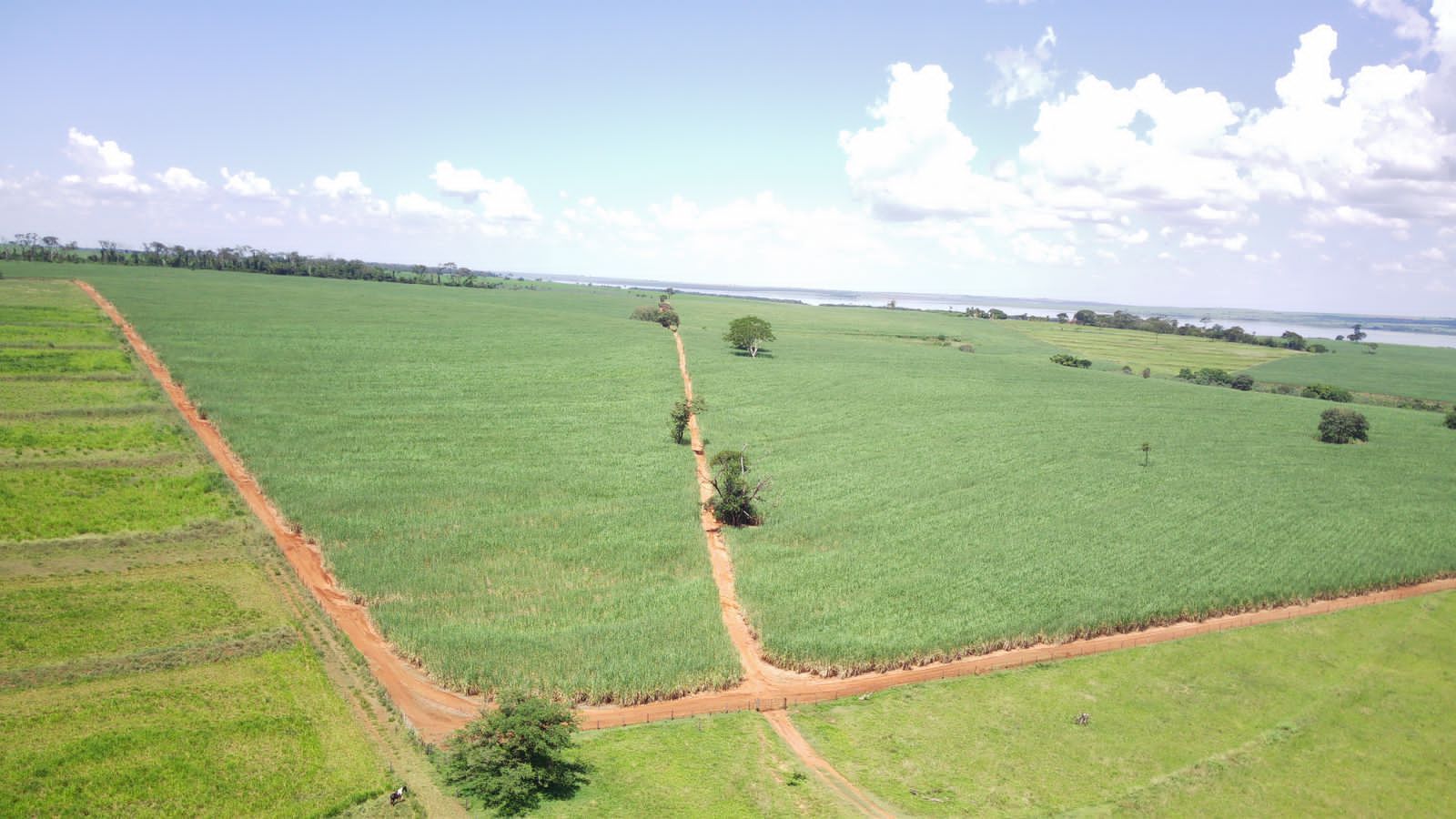 Fazenda à venda com 4 quartos, 800m² - Foto 20