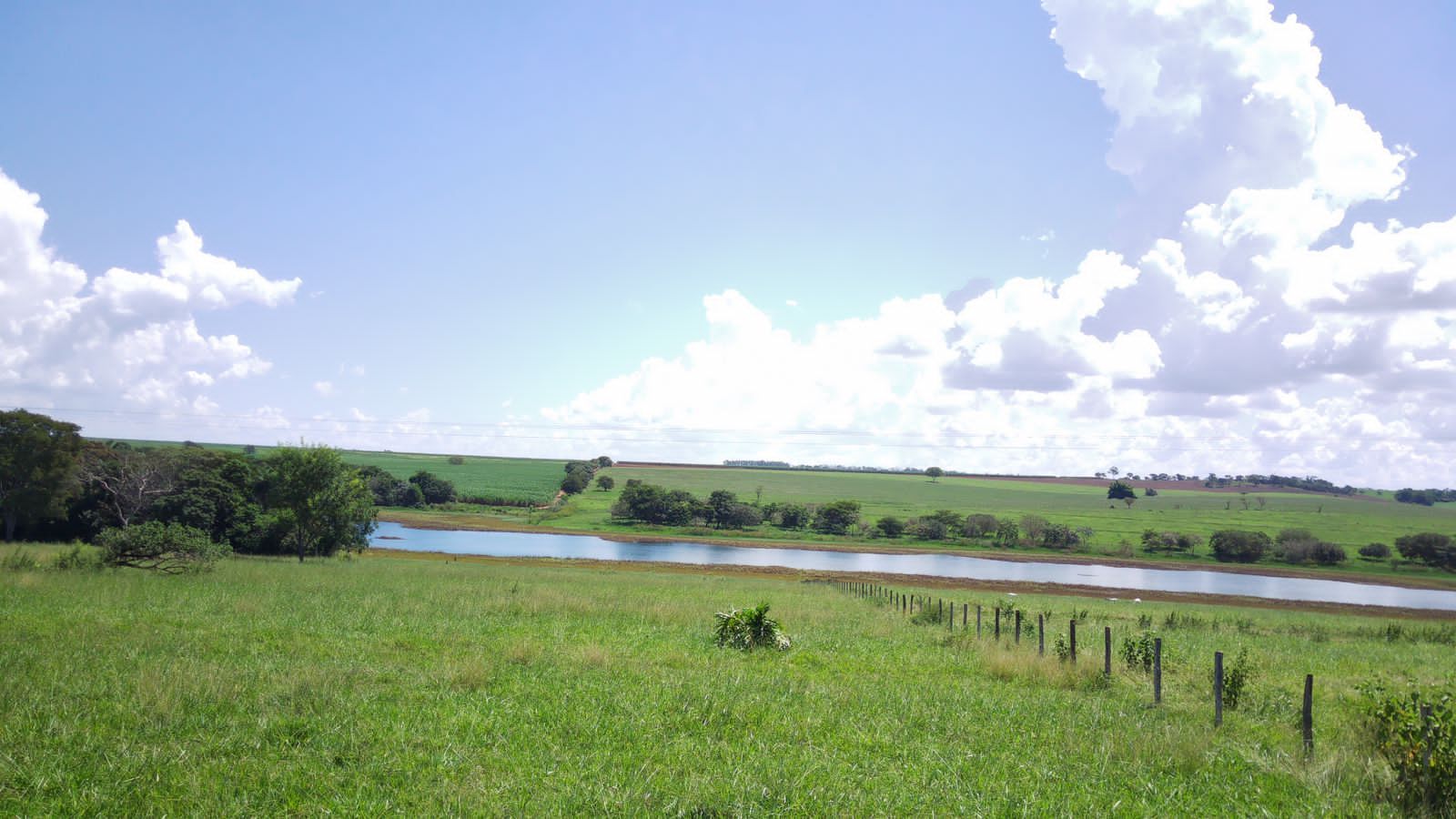 Fazenda à venda com 4 quartos, 800m² - Foto 22