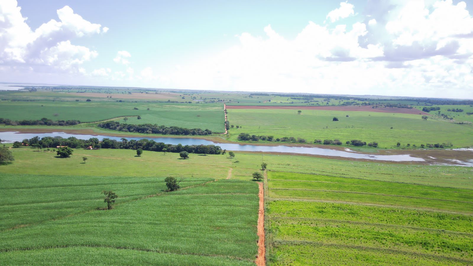 Fazenda à venda com 4 quartos, 800m² - Foto 23