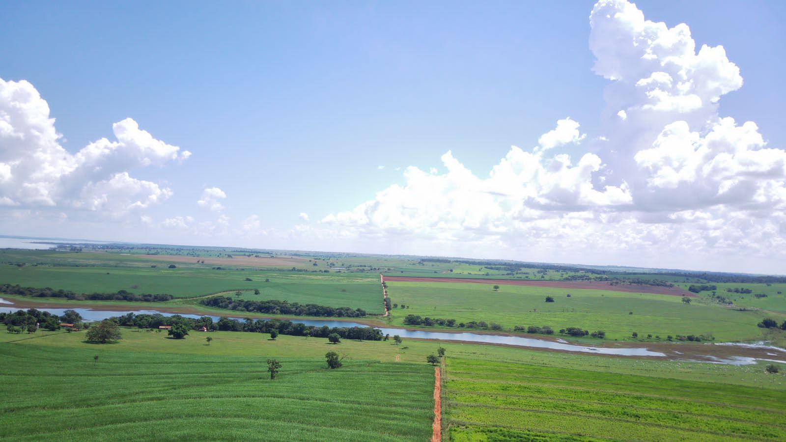 Fazenda à venda com 4 quartos, 800m² - Foto 24