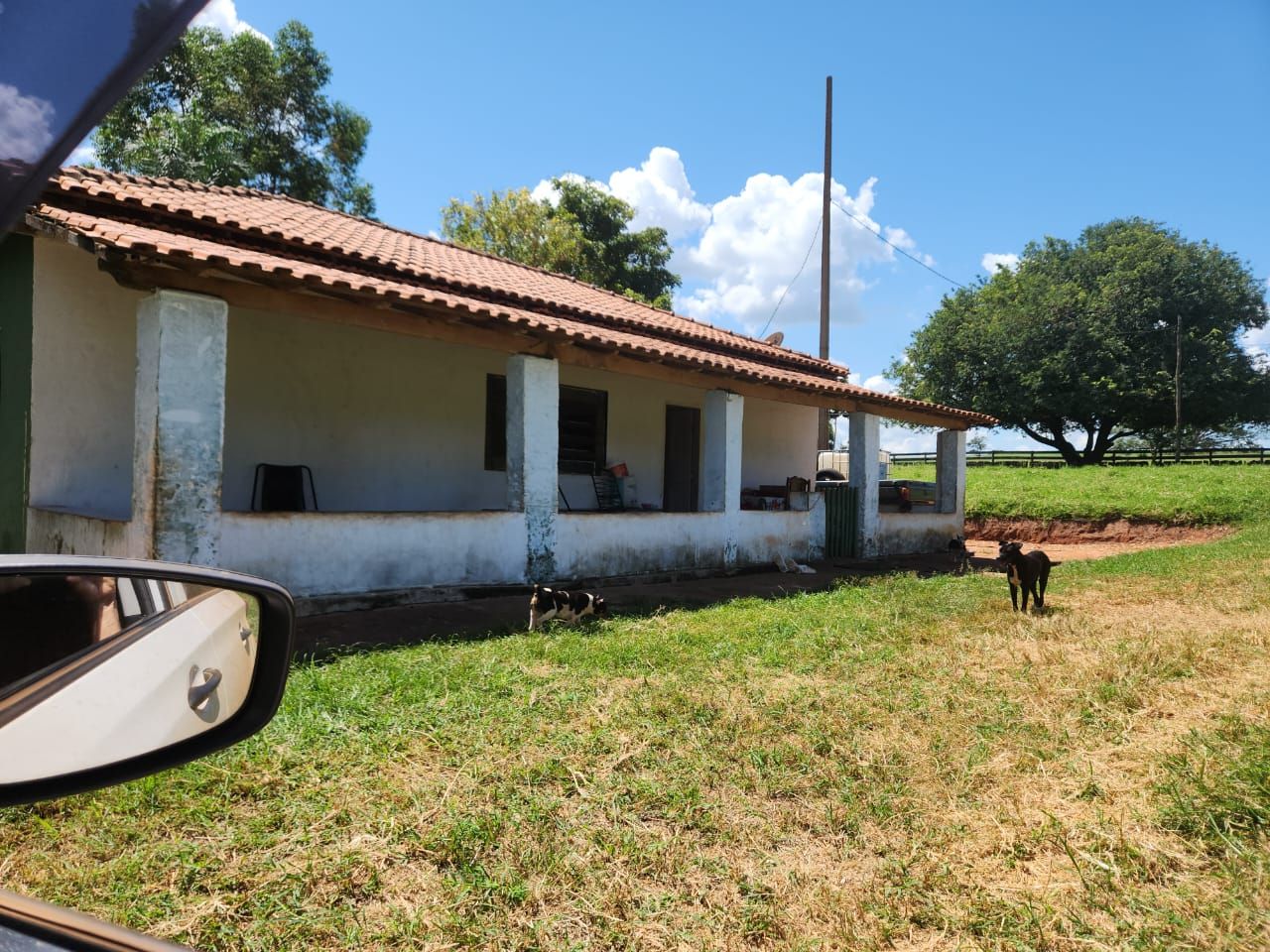 Fazenda à venda com 4 quartos, 800m² - Foto 3